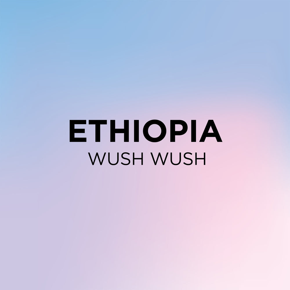 ETHIOPIA WUSH WUSH