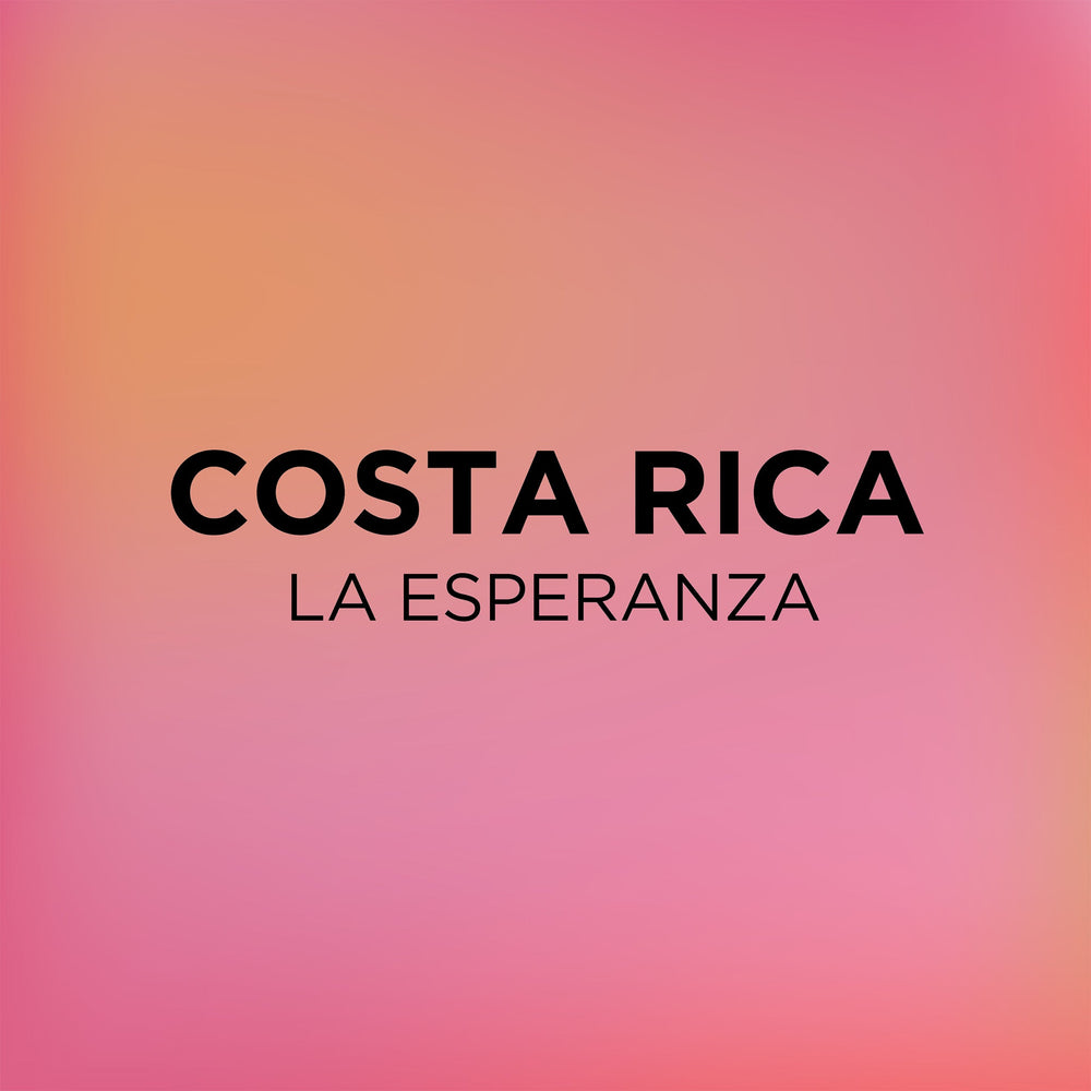 Costa Rica La Esperanza Common Room Roasters
