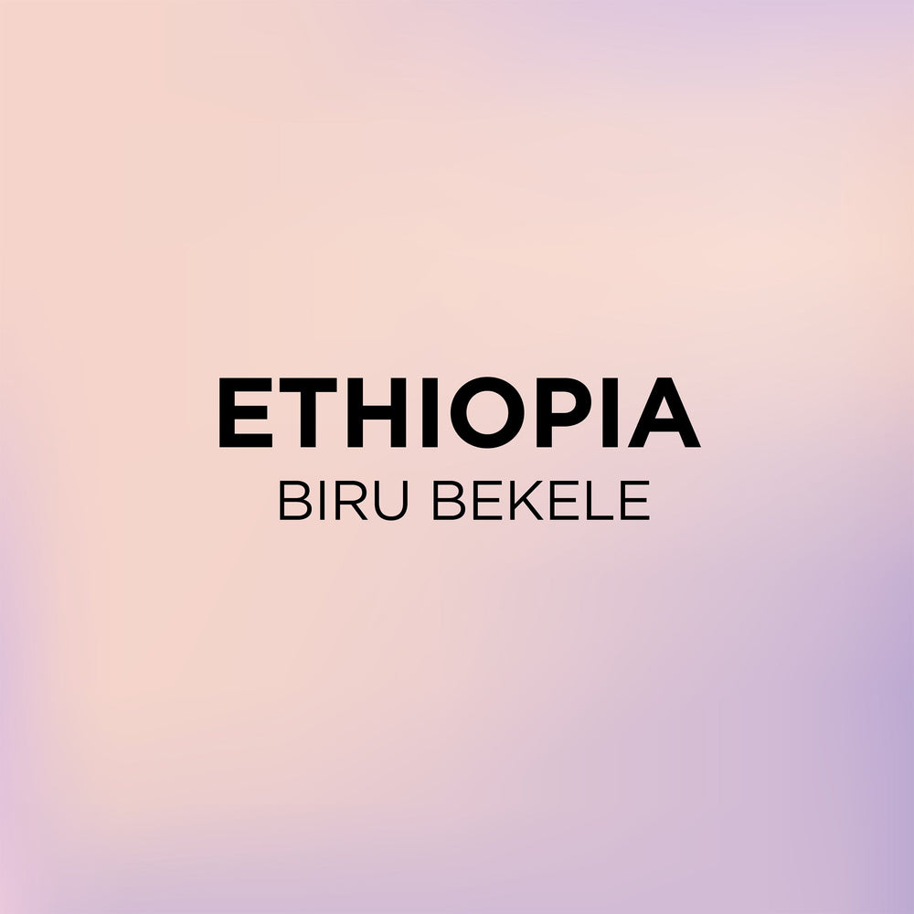 ETHIOPIA BIRU BEKELE Common Room Roasters