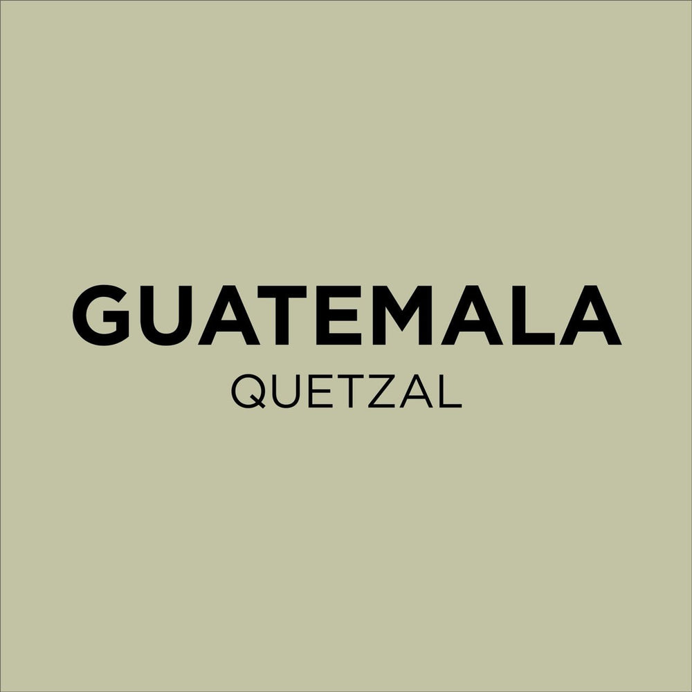 Guatemala Quetzal Common Room Roasters