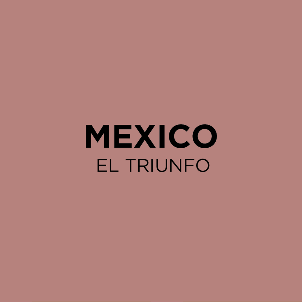 Mexico El Triunfo Common Room Roasters