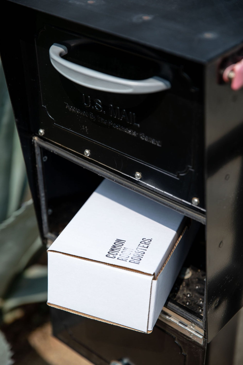 Roaster's Choice - Single Origin Subscription Common Room Roasters