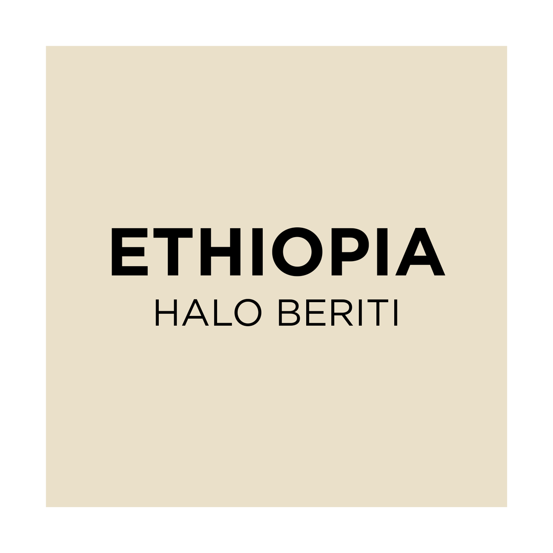 Ethiopia Halo Beriti - Common Room Roasters