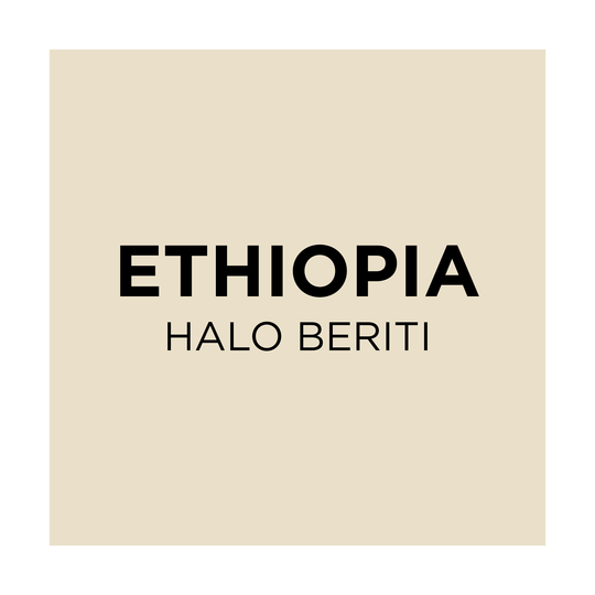 Ethiopia Halo Beriti - Common Room Roasters