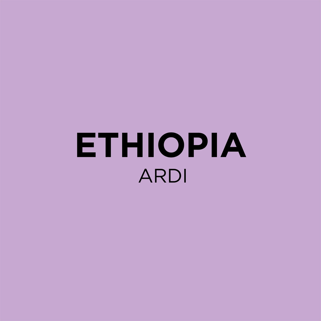 ETHIOPIA, ARDI SIDAMA