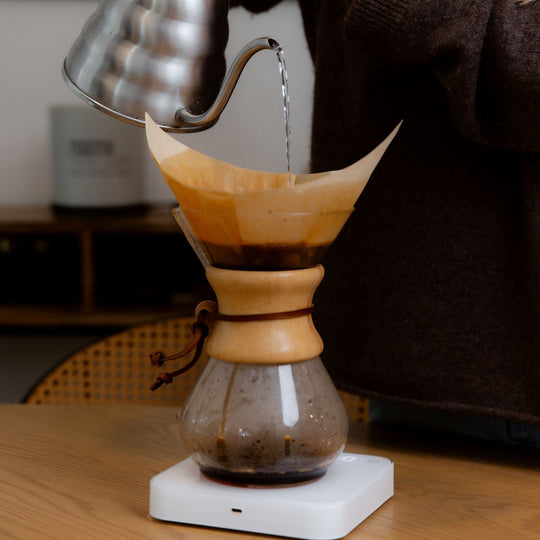 Chemex Classic 6-Cup Common Room Roasters