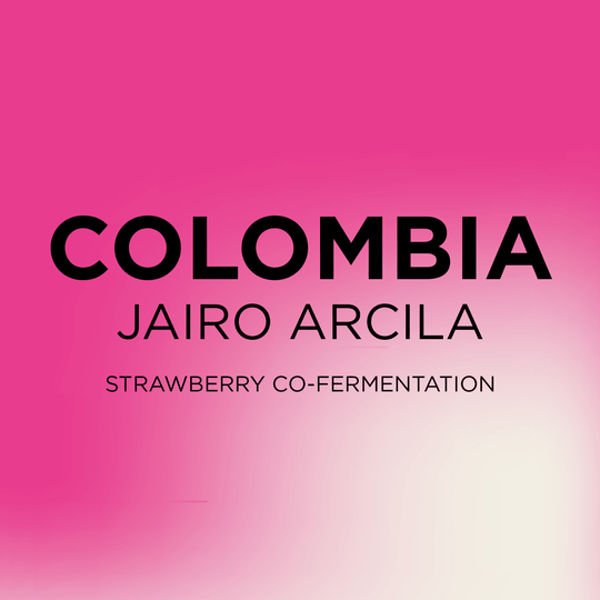 Colombia, Jairo Arcila Strawberry Co-Fermentation Common Room Roasters