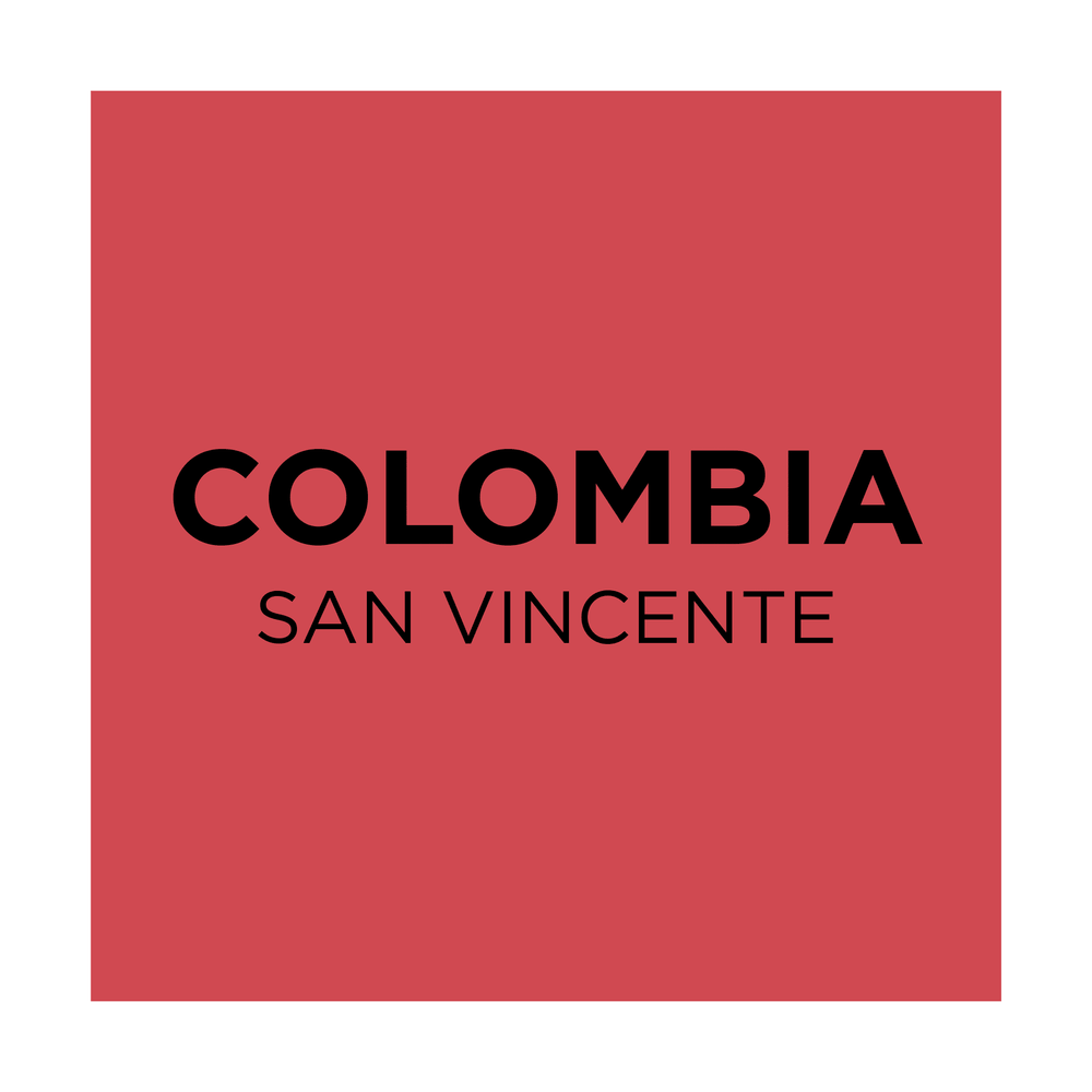 Colombia San Vicente - Common Room Roasters