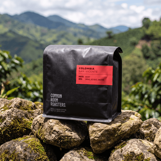 Colombia San Vicente - Common Room Roasters