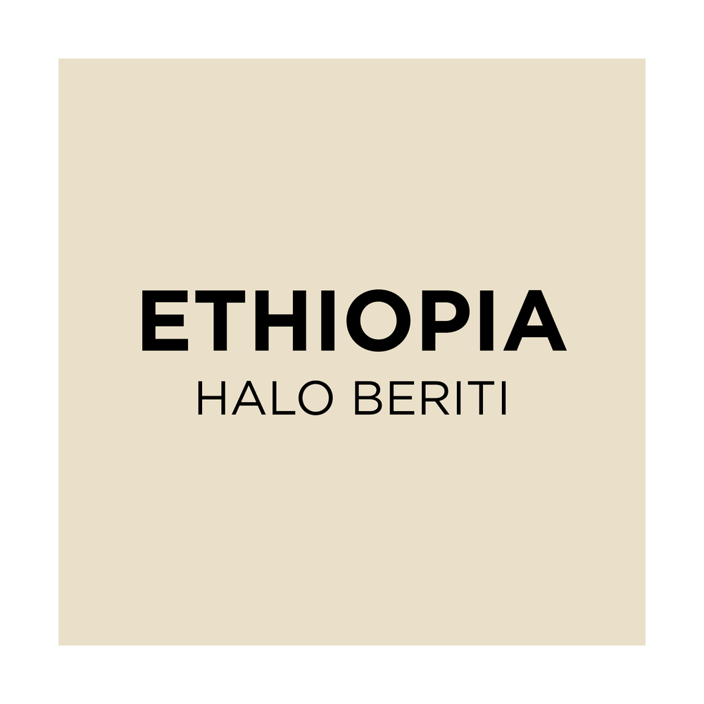Ethiopia Halo Beriti - Common Room Roasters