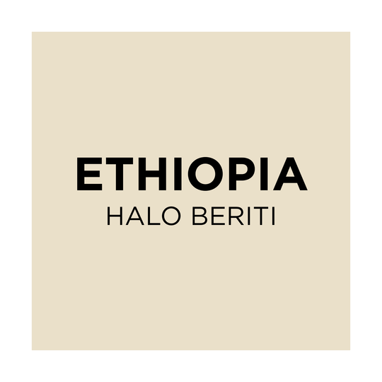 Ethiopia Halo Beriti - Common Room Roasters