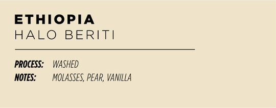 Ethiopia Halo Beriti - Common Room Roasters