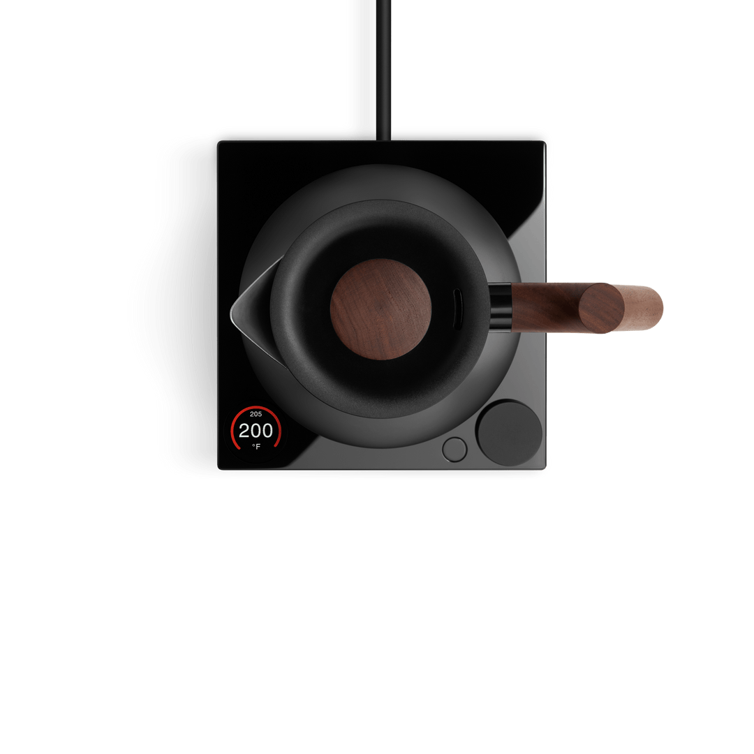 Fellow Corvo EKG Pro Electric Kettle | Studio Edition Common Room Roasters