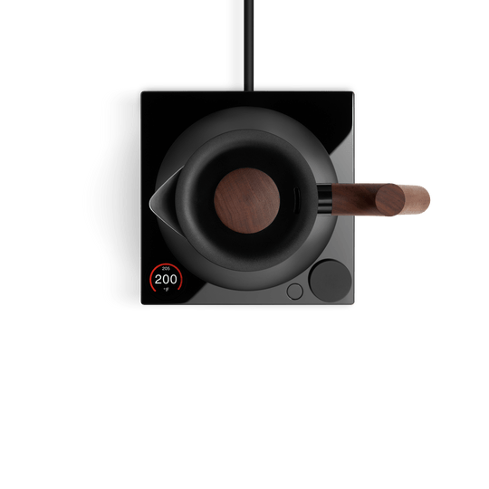 Fellow Corvo EKG Pro Electric Kettle | Studio Edition Common Room Roasters