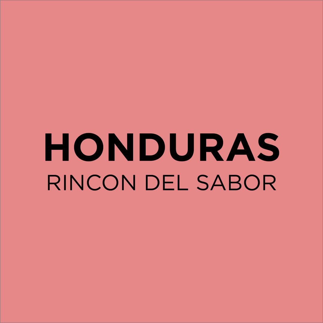 Honduras Rincon Del Sabor - Common Room Roasters