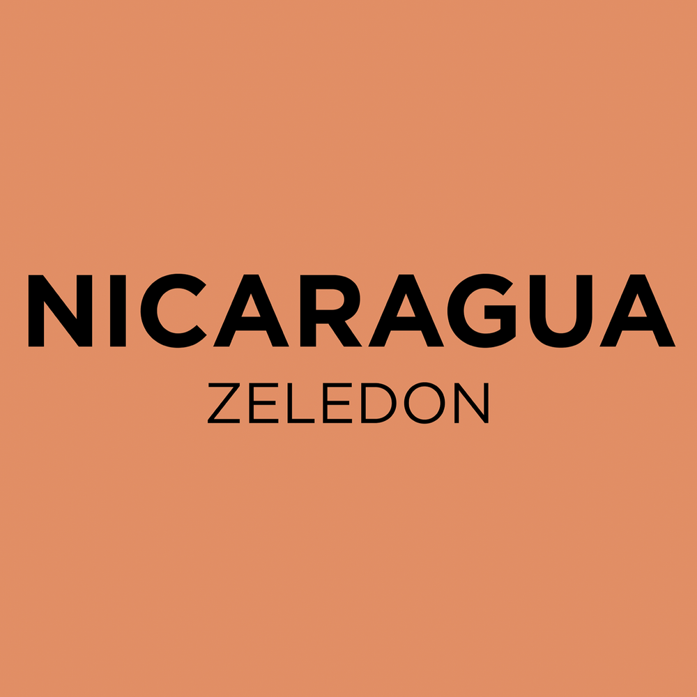 Nicaragua, Zeledon - Common Room Roasters