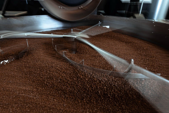 Peru Cajamarcara Organic Common Room Roasters