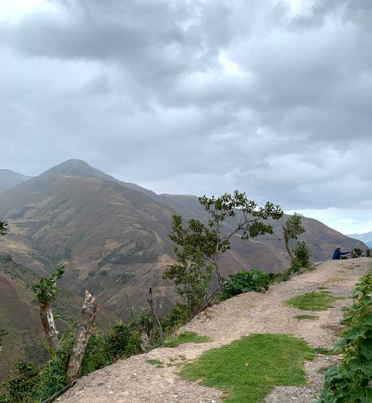  COLOMBIA, APONTE VILLAGE MOUNTAINS